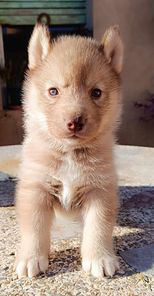 384546128_329432206521954_7389812033612690865_n